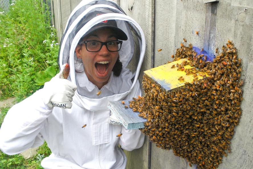 Graduate Student Rachel Bonoan with bees